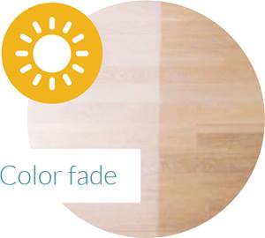 carpet-one-floor-home-roseville-chico-ca-maintain-longevity-of-hardwood-floors-color-fade-light